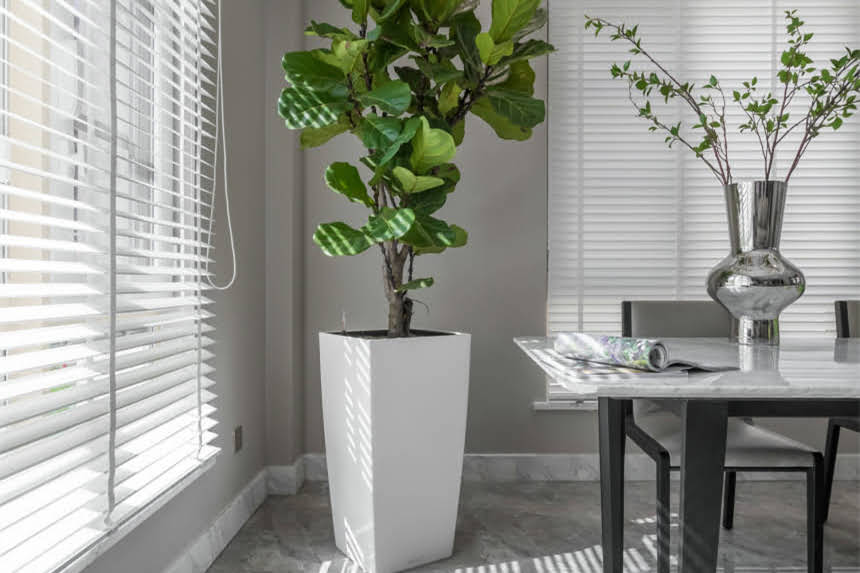 图片 成都80平米装修全攻略：小户型设计技巧+避坑指南（附预算清单）1.jpg